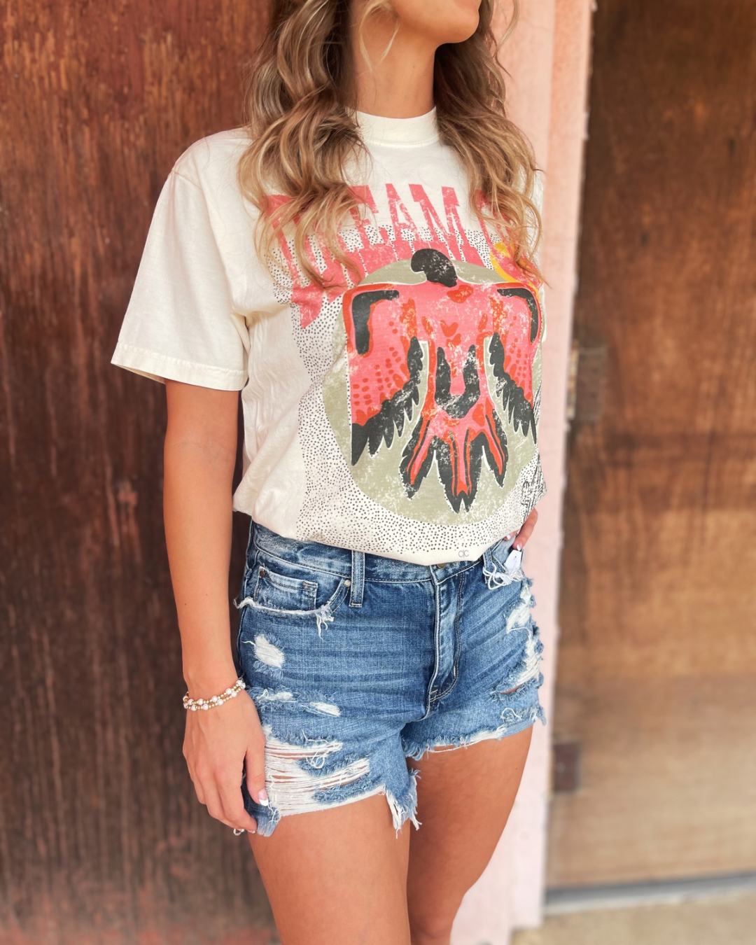 Dream On- Thunder Bird T