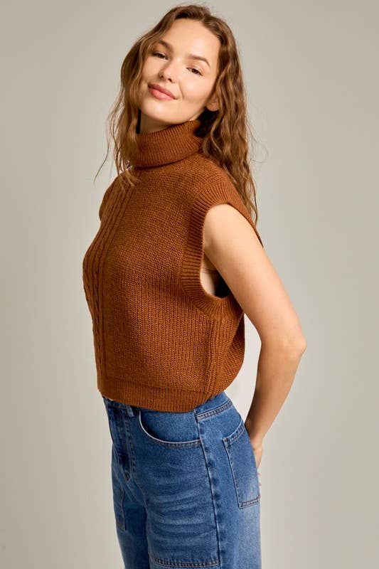 Kayton Turtle Neck Sweater Vest