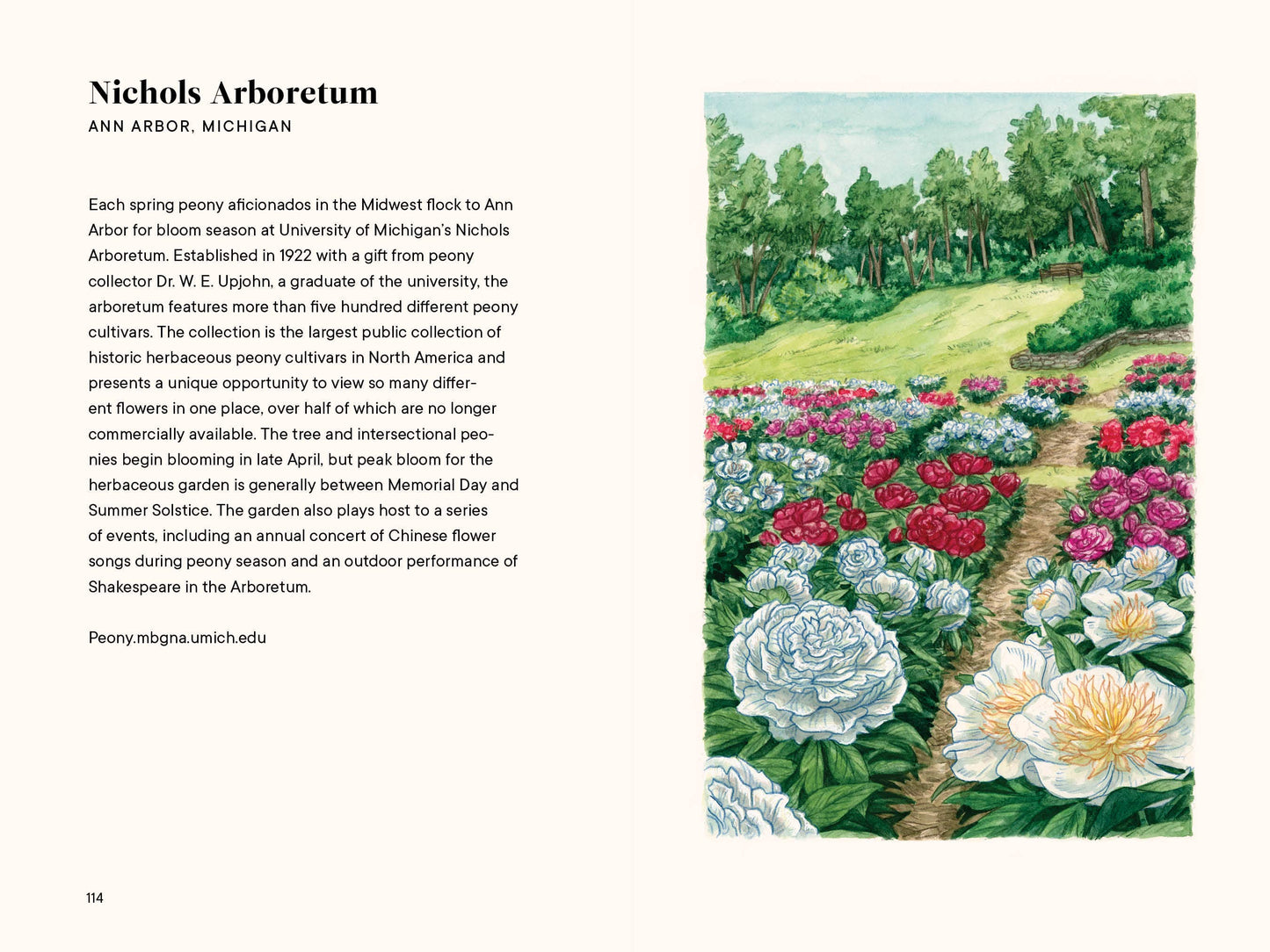 A Little Book of Flowers