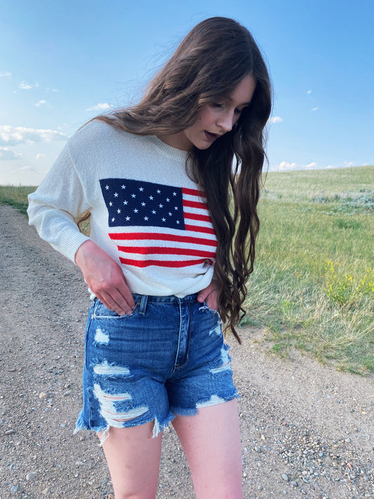AMERICAN FLAG KNIT SWEATER PULLOVER