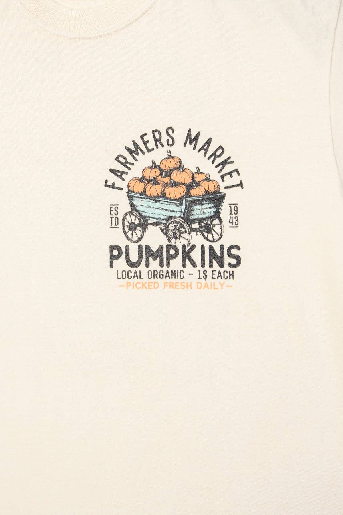 Farmers Market Pumpkins